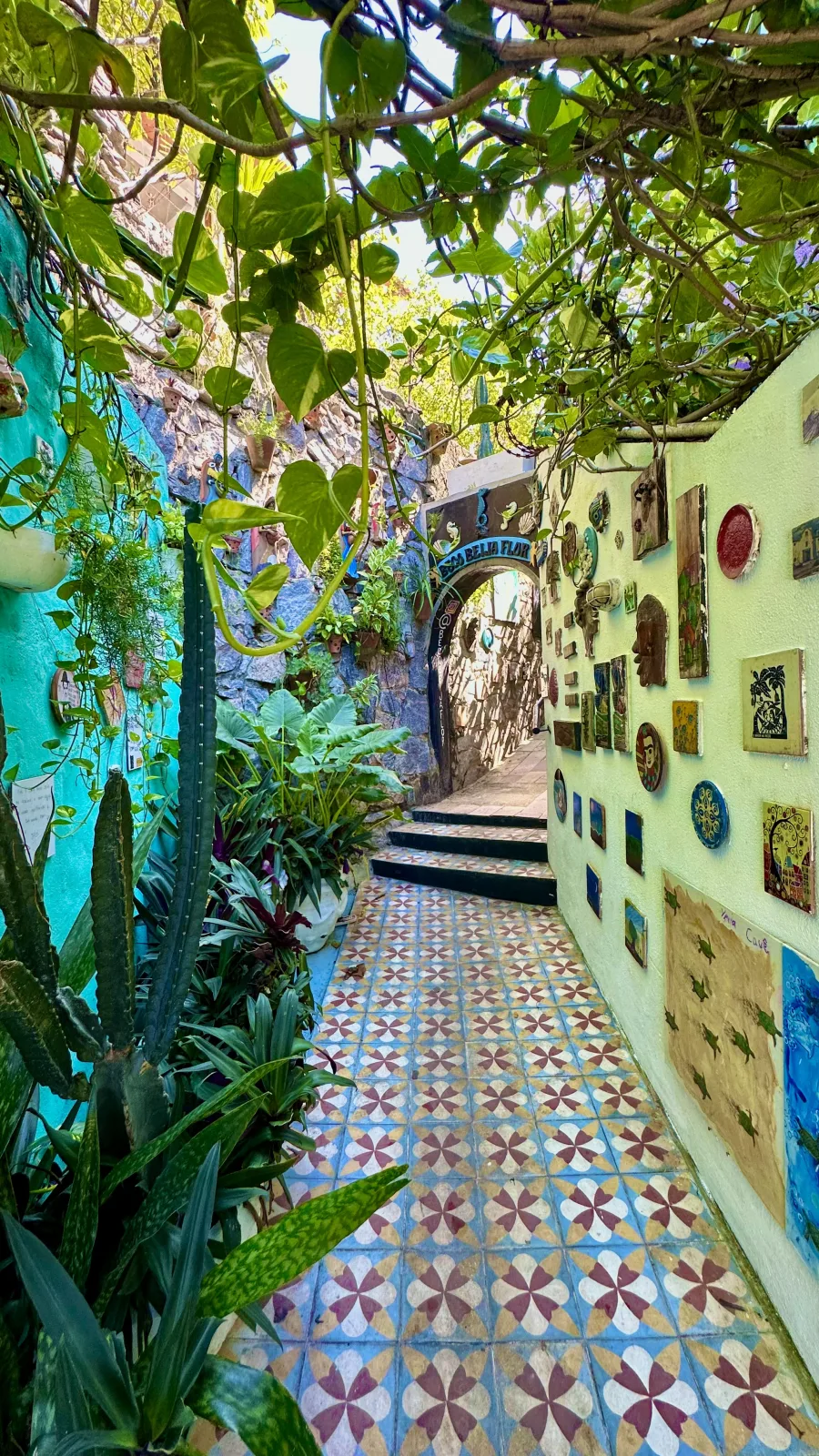 🌺 Beco do Beija Flor